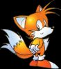 S2_MD_Tails_2.png